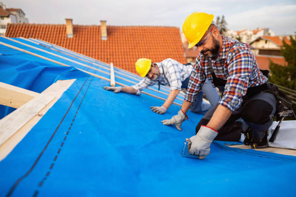 Best Roof Gutter Cleaning  in Columbus, IN